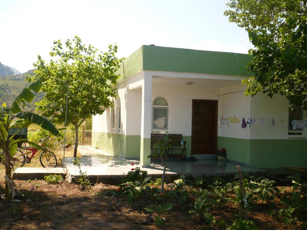 Kiyi Pansiyon Çıralı Quarto foto